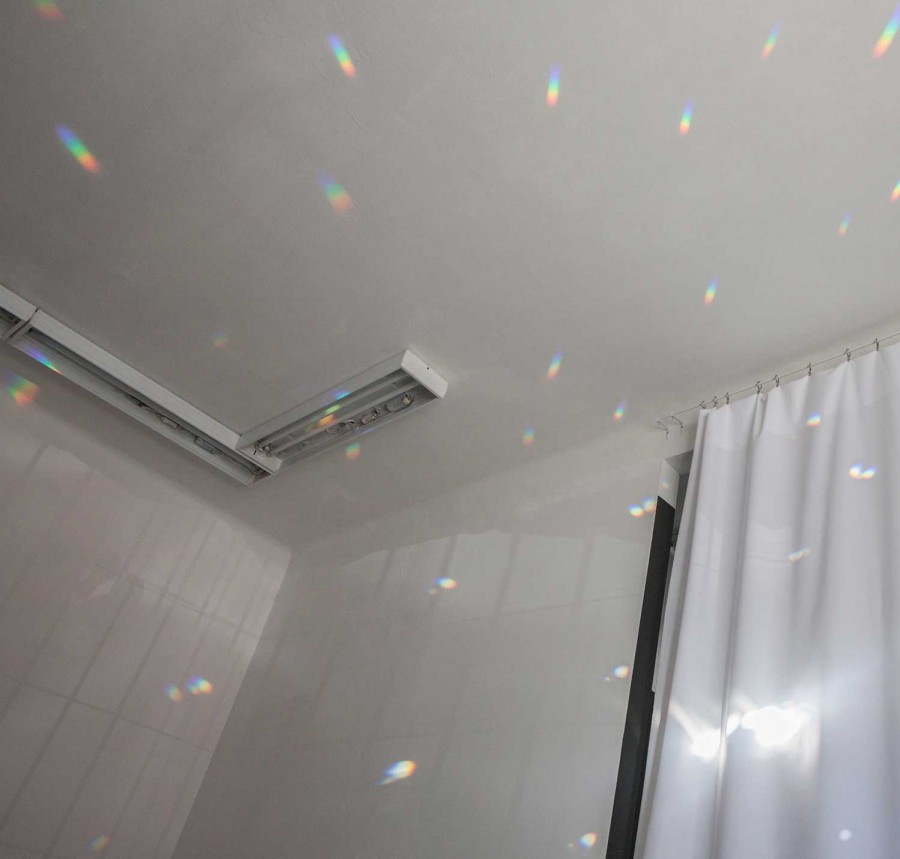 Solkatt-Lisa-Strombeck-web